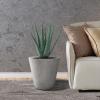 imageKante Round Tapered Concrete Planters Set of 3 183quot153quot and 124quot Dia Flower Pot with Drainage Hole and Rubber Plug for Indoor Outdoor Plants Large Plant Pot for Home Garden Patio CharcoalNatural Concrete