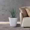 imageKante Round Tapered Concrete Planters Set of 3 183quot153quot and 124quot Dia Flower Pot with Drainage Hole and Rubber Plug for Indoor Outdoor Plants Large Plant Pot for Home Garden Patio CharcoalWhite