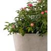 imageKante Round Tapered Concrete Planters Set of 3 183quot153quot and 124quot Dia Flower Pot with Drainage Hole and Rubber Plug for Indoor Outdoor Plants Large Plant Pot for Home Garden Patio CharcoalWeathered Concrete