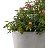 imageKante Round Tapered Concrete Planters Set of 3 183quot153quot and 124quot Dia Flower Pot with Drainage Hole and Rubber Plug for Indoor Outdoor Plants Large Plant Pot for Home Garden Patio CharcoalNatural Concrete