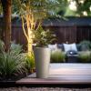 imageKante Tall Concrete Planter 158 Inch Height Large Flower Pot for Indoor Outdoor Plants Suitable for Home Patio Garden Porch BlackWeathered Concrete
