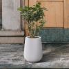 imageKante 14 Inch Tall Round Concrete Planters Large Flower Pot with Drainage Hole and Rubber Plug for Home Patio Garden Suitable for Indoor Outdoor Plants WhiteWhite