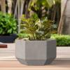 imageKante Hexagon Concrete Planter 173 Inch Tall Outdoor Indoor Flower Pots with Drainage Holes and Rubber Plug for Home Patio Garden Weathered ConcreteWeathered Concrete