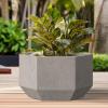imageKante Hexagon Concrete Planter 173 Inch Tall Outdoor Indoor Flower Pots with Drainage Holes and Rubber Plug for Home Patio Garden Weathered ConcreteWeathered Concrete