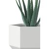 imageKante Hexagon Concrete Planter 173 Inch Tall Outdoor Indoor Flower Pots with Drainage Holes and Rubber Plug for Home Patio Garden Weathered ConcreteWhite