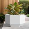 imageKante Hexagon Concrete Planter 173 Inch Tall Outdoor Indoor Flower Pots with Drainage Holes and Rubber Plug for Home Patio Garden Weathered ConcreteWhite