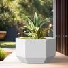 imageKante Hexagon Concrete Planter 173 Inch Tall Outdoor Indoor Flower Pots with Drainage Holes and Rubber Plug for Home Patio Garden Weathered ConcreteWhite