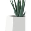 imageKante Hexagon Concrete Planter 173 Inch Tall Outdoor Indoor Flower Pots with Drainage Holes and Rubber Plug for Home Patio Garden Weathered ConcreteWhite