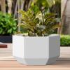imageKante Hexagon Concrete Planter 173 Inch Tall Outdoor Indoor Flower Pots with Drainage Holes and Rubber Plug for Home Patio Garden Weathered ConcreteWhite
