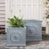 imageKante Square Lion Head Concrete Planter Classic English Style Plant Pot with Drainage Hole and Rubber Plug for Indoor Outdoor Garden Patio Home 102quotx102quotx 102quot Antique GrayAntique Gray