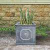imageKante Square Lion Head Concrete Planter Classic English Style Plant Pot with Drainage Hole and Rubber Plug for Indoor Outdoor Garden Patio Home 102quotx102quotx 102quot Antique GrayAntique Gray