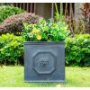 imageKante Square Lion Head Concrete Planter Classic English Style Plant Pot with Drainage Hole and Rubber Plug for Indoor Outdoor Garden Patio Home 102quotx102quotx 102quot Antique GrayAntique Gray