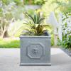 imageKante Square Lion Head Concrete Planter Classic English Style Plant Pot with Drainage Hole and Rubber Plug for Indoor Outdoor Garden Patio Home 102quotx102quotx 102quot Antique GrayGravel Gray