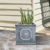 imageKante Square Lion Head Concrete Planter Classic English Style Plant Pot with Drainage Hole and Rubber Plug for Indoor Outdoor Garden Patio Home 102quotx102quotx 102quot Antique GrayAntique Gray