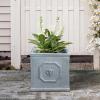 imageKante Square Lion Head Concrete Planter Classic English Style Plant Pot with Drainage Hole and Rubber Plug for Indoor Outdoor Garden Patio Home 102quotx102quotx 102quot Antique GrayAntique Gray