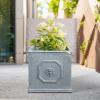 imageKante Square Lion Head Concrete Planter Classic English Style Plant Pot with Drainage Hole and Rubber Plug for Indoor Outdoor Garden Patio Home 102quotx102quotx 102quot Antique GrayGravel Gray