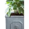 imageKante Square Lion Head Concrete Planter Classic English Style Plant Pot with Drainage Hole and Rubber Plug for Indoor Outdoor Garden Patio Home 102quotx102quotx 102quot Antique GrayAntique Gray