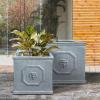 imageKante Square Lion Head Concrete Planter Classic English Style Plant Pot with Drainage Hole and Rubber Plug for Indoor Outdoor Garden Patio Home 102quotx102quotx 102quot Antique GrayAntique Gray