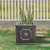 imageKante Square Lion Head Concrete Planter Classic English Style Plant Pot with Drainage Hole and Rubber Plug for Indoor Outdoor Garden Patio Home 102quotx102quotx 102quot Antique GrayMetallic Chestnut