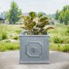 imageKante Square Lion Head Concrete Planter Classic English Style Plant Pot with Drainage Hole and Rubber Plug for Indoor Outdoor Garden Patio Home 102quotx102quotx 102quot Antique GrayGravel Gray
