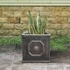 imageKante Square Lion Head Concrete Planter Classic English Style Plant Pot with Drainage Hole and Rubber Plug for Indoor Outdoor Garden Patio Home 102quotx102quotx 102quot Antique GrayOil Rubbed Bronze