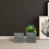 imageKante Square Lion Head Concrete Planter Classic English Style Plant Pot with Drainage Hole and Rubber Plug for Indoor Outdoor Garden Patio Home 102quotx102quotx 102quot Antique GrayAntique Gray