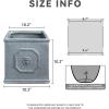 imageKante Square Lion Head Concrete Planter Classic English Style Plant Pot with Drainage Hole and Rubber Plug for Indoor Outdoor Garden Patio Home 102quotx102quotx 102quot Antique GrayAntique Gray