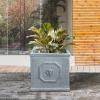 imageKante Square Lion Head Concrete Planter Classic English Style Plant Pot with Drainage Hole and Rubber Plug for Indoor Outdoor Garden Patio Home 102quotx102quotx 102quot Antique GrayAntique Gray