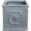 imageKante Square Lion Head Concrete Planter Classic English Style Plant Pot with Drainage Hole and Rubber Plug for Indoor Outdoor Garden Patio Home 102quotx102quotx 102quot Antique GrayAntique Gray