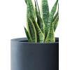imageKante 98quot126quot157quot Dia Round Concrete Planter Set of 3 Modern Style Large Cylindrical Plant Pot with Drainage Hole and Rubber Plug for Indoor Outdoor Patio BlackCharcoal