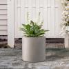 imageKante 98quot126quot157quot Dia Round Concrete Planter Set of 3 Modern Style Large Cylindrical Plant Pot with Drainage Hole and Rubber Plug for Indoor Outdoor Patio BlackWeathered Concrete