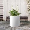 imageKante 98quot126quot157quot Dia Round Concrete Planter Set of 3 Modern Style Large Cylindrical Plant Pot with Drainage Hole and Rubber Plug for Indoor Outdoor Patio BlackPure White