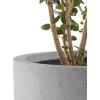 imageKante 98quot126quot157quot Dia Round Concrete Planter Set of 3 Modern Style Large Cylindrical Plant Pot with Drainage Hole and Rubber Plug for Indoor Outdoor Patio BlackNatural Concrete