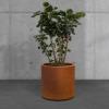imageKante 98quot126quot157quot Dia Round Concrete Planter Set of 3 Modern Style Large Cylindrical Plant Pot with Drainage Hole and Rubber Plug for Indoor Outdoor Patio BlackIron Oxide
