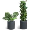 imageKante 98quot126quot157quot Dia Round Concrete Planter Set of 3 Modern Style Large Cylindrical Plant Pot with Drainage Hole and Rubber Plug for Indoor Outdoor Patio BlackCharcoal