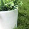imageKante 98quot126quot157quot Dia Round Concrete Planter Set of 3 Modern Style Large Cylindrical Plant Pot with Drainage Hole and Rubber Plug for Indoor Outdoor Patio BlackPure White