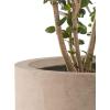 imageKante 98quot126quot157quot Dia Round Concrete Planter Set of 3 Modern Style Large Cylindrical Plant Pot with Drainage Hole and Rubber Plug for Indoor Outdoor Patio BlackWeathered Concrete