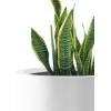 imageKante 98quot126quot157quot Dia Round Concrete Planter Set of 3 Modern Style Large Cylindrical Plant Pot with Drainage Hole and Rubber Plug for Indoor Outdoor Patio BlackPure White