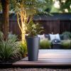 imageKante Tall Concrete Planter Set of 2 158 Inch Height Large Flower Pot for Indoor Outdoor Plants Suitable for Home Patio Garden Porch Weathered ConcreteCharcoal