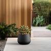 imageKante Curva Series Planter 102 Inch Round Concrete Flower Pot with Draiange Hole and Rubber Plug Suitable for Indoor Plants Home Garden Patio BlackBlack