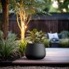 imageKante Curva Series Planter 102 Inch Round Concrete Flower Pot with Draiange Hole and Rubber Plug Suitable for Indoor Plants Home Garden Patio BlackBlack