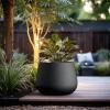imageKante Curva Series Planter 102 Inch Round Concrete Flower Pot with Draiange Hole and Rubber Plug Suitable for Indoor Plants Home Garden Patio BlackBlack