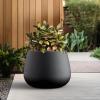 imageKante Curva Series Planter 102 Inch Round Concrete Flower Pot with Draiange Hole and Rubber Plug Suitable for Indoor Plants Home Garden Patio BlackBlack
