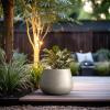 imageKante Curva Series Planter 102 Inch Round Concrete Flower Pot with Draiange Hole and Rubber Plug Suitable for Indoor Plants Home Garden Patio BlackWeathered Concrete