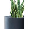 imageKante 126quot Dia Round Concrete Planter Modern Style Large Cylindrical Plant Pot with Drainage Hole and Rubber Plug for Indoor Outdoor Patio Pure WhiteCharcoal