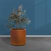 imageKante 126quot Dia Round Concrete Planter Modern Style Large Cylindrical Plant Pot with Drainage Hole and Rubber Plug for Indoor Outdoor Patio Pure WhiteIron Oxide