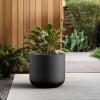 imageKante 138Inch Dia Round Concrete Planter Indoor ampamp Outdoor Garden Pot with Drainage Hole ampamp Rubber Plug Ideal for Flower and Tree BlackBlack