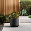 imageKante 138Inch Dia Round Concrete Planter Indoor ampamp Outdoor Garden Pot with Drainage Hole ampamp Rubber Plug Ideal for Flower and Tree BlackBlack
