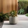imageKante 138Inch Dia Round Concrete Planter Indoor ampamp Outdoor Garden Pot with Drainage Hole ampamp Rubber Plug Ideal for Flower and Tree BlackWeathered Concrete