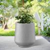 imageKante 153quot Dia Round Concrete Planter Outdoor Indoor Large Plant Pots Containers with Drainage Hole and Rubber Plug for Home Garden Patio Buff ConcreteGray Concrete